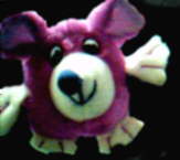 This is one of the little animals I won at the fare.. lol
